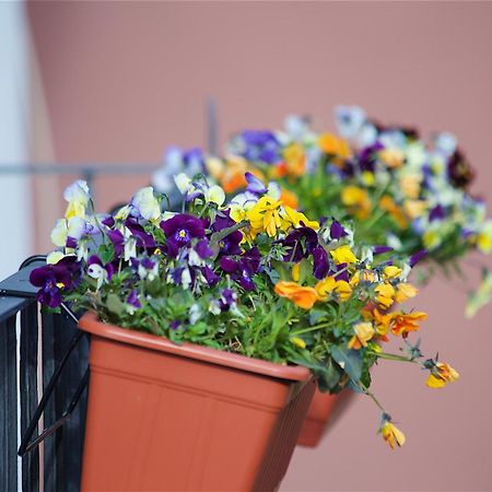 Il Giardino Segreto Bed & Breakfast Sorrento Dış mekan fotoğraf