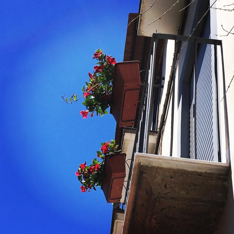 Il Giardino Segreto Bed & Breakfast Sorrento Dış mekan fotoğraf