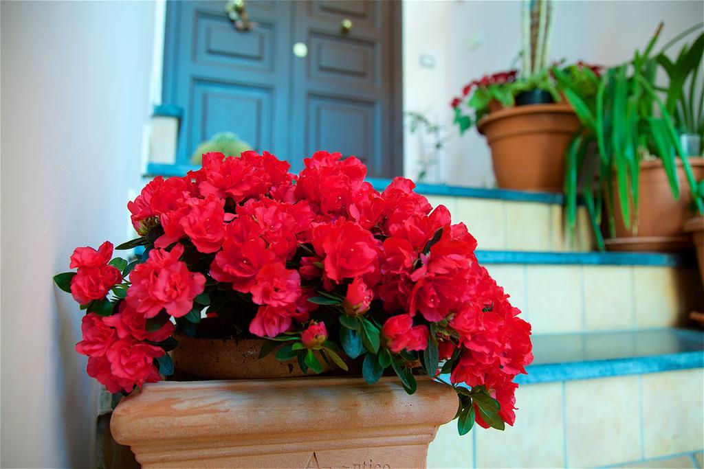 Il Giardino Segreto Bed & Breakfast Sorrento Dış mekan fotoğraf