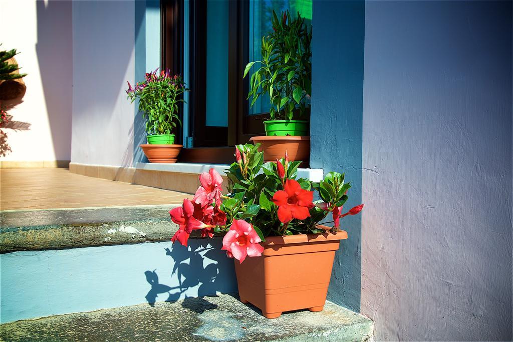 Il Giardino Segreto Bed & Breakfast Sorrento Dış mekan fotoğraf