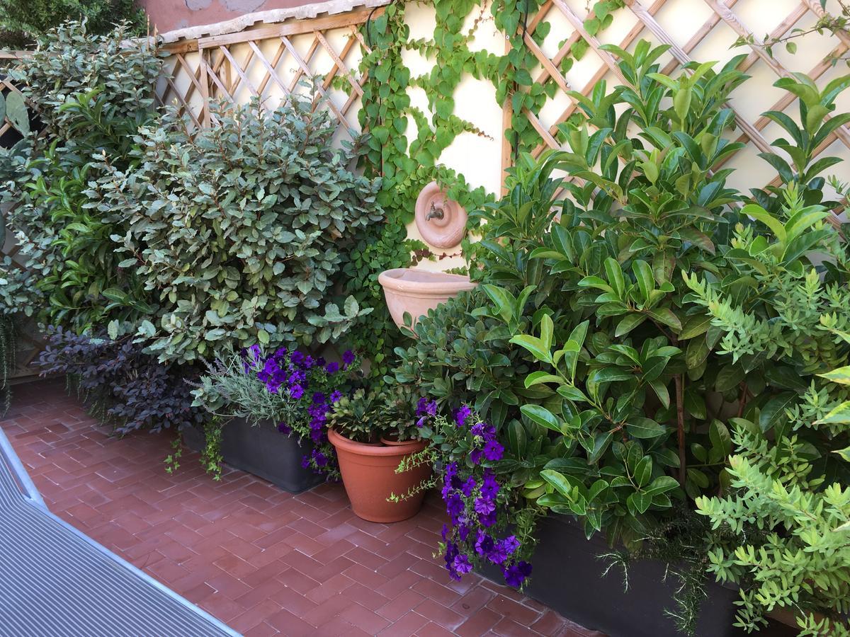 Il Giardino Segreto Bed & Breakfast Sorrento Dış mekan fotoğraf