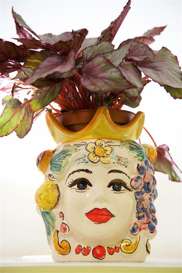 Il Giardino Segreto Bed & Breakfast Sorrento Dış mekan fotoğraf